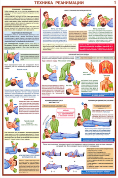 ПС02 Оказание первой помощи пострадавшим (ламинированная бумага, a2, 6 листов) - Плакаты - Медицинская помощь - Магазин охраны труда ИЗО Стиль